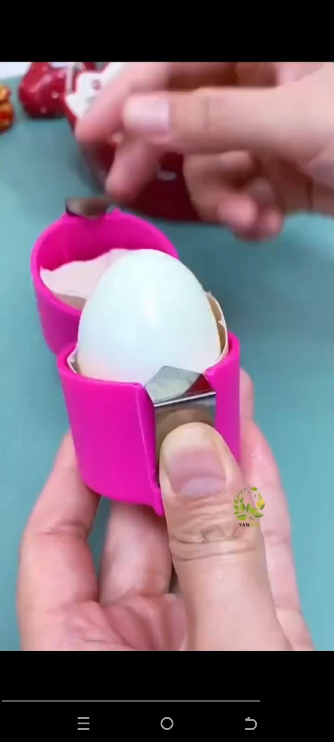 Egg opener