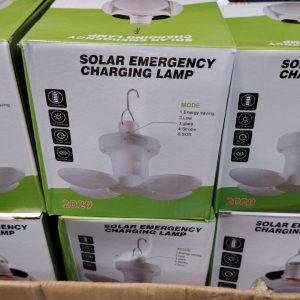 Solar Bulbs