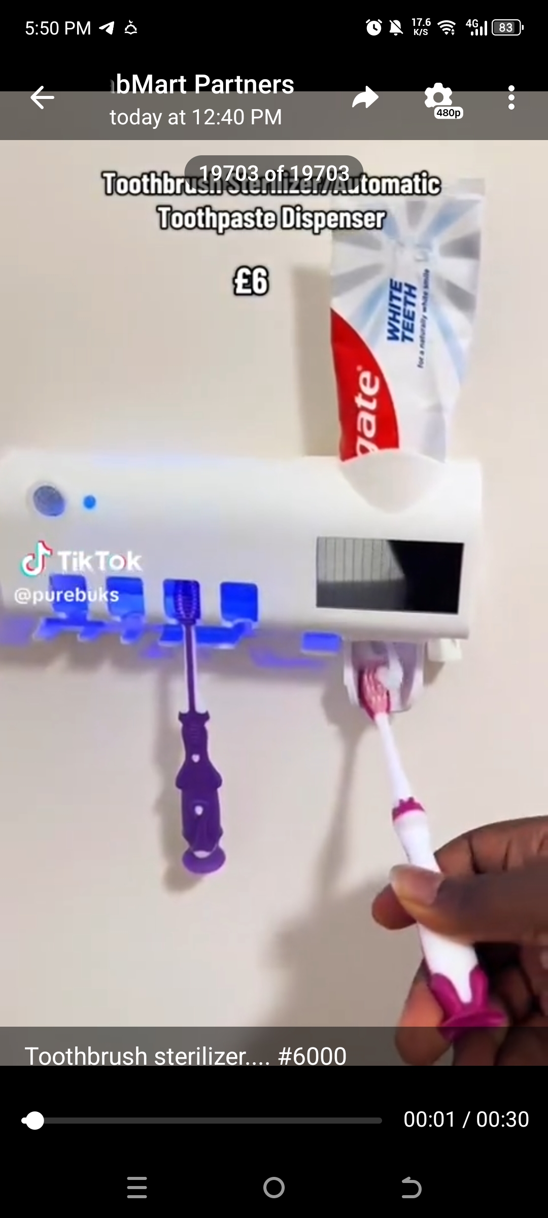 Toothbrush sterilizer