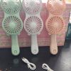 Double face rechargeable fan