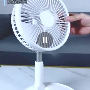 Fan with pole